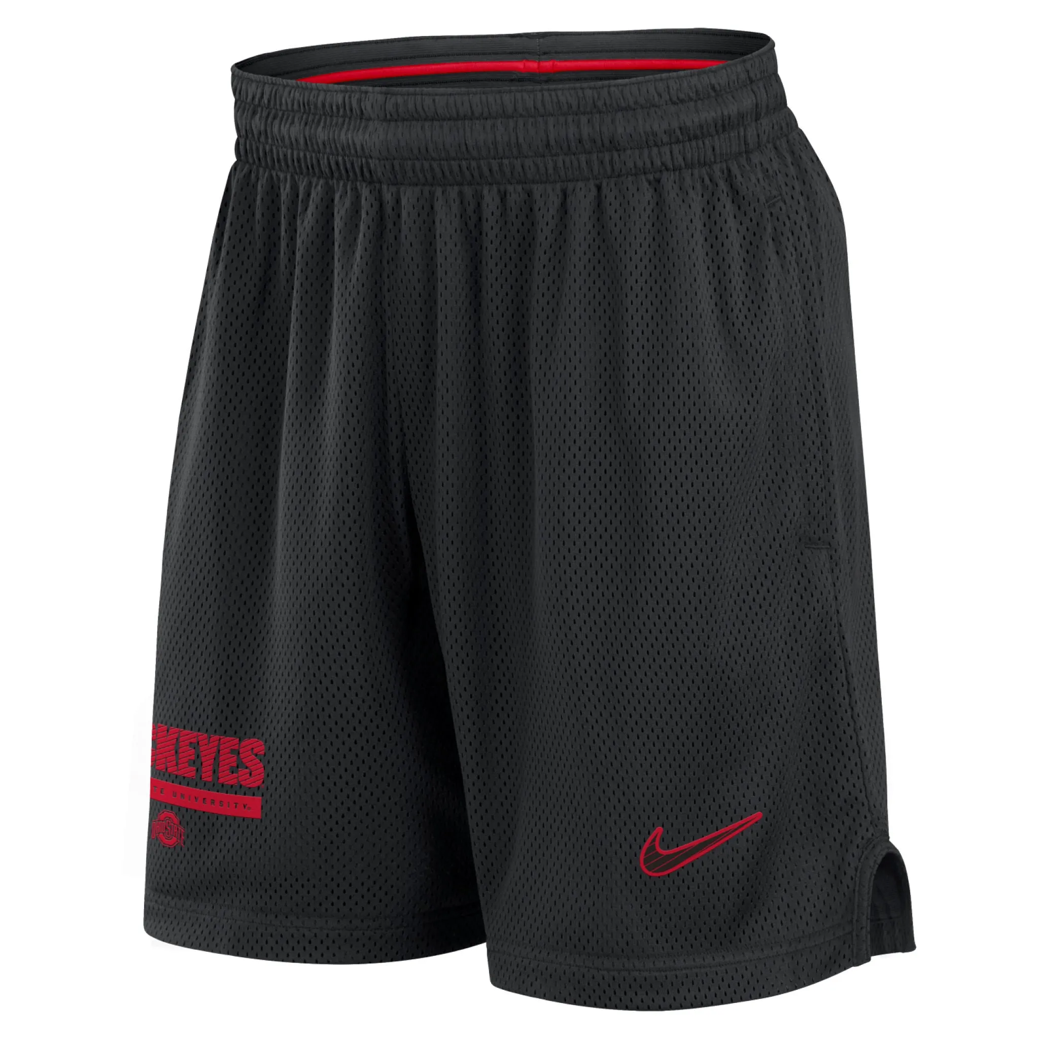 Men's Dri-Fit Mesh Shorts