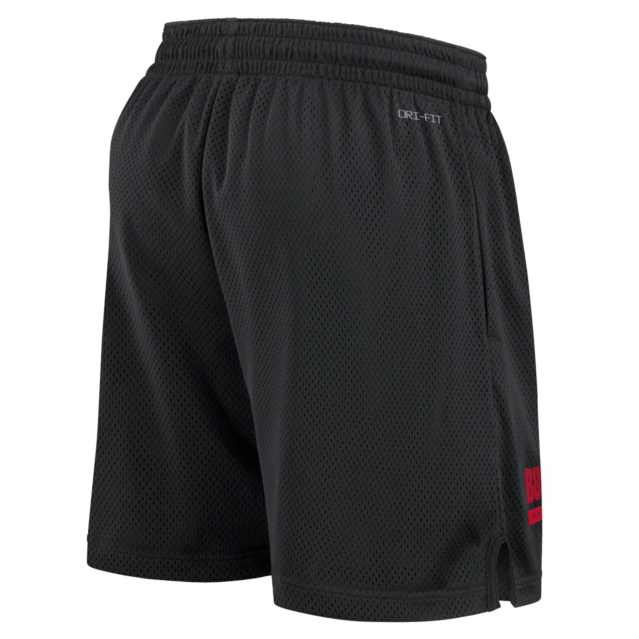 Men's Dri-Fit Mesh Shorts