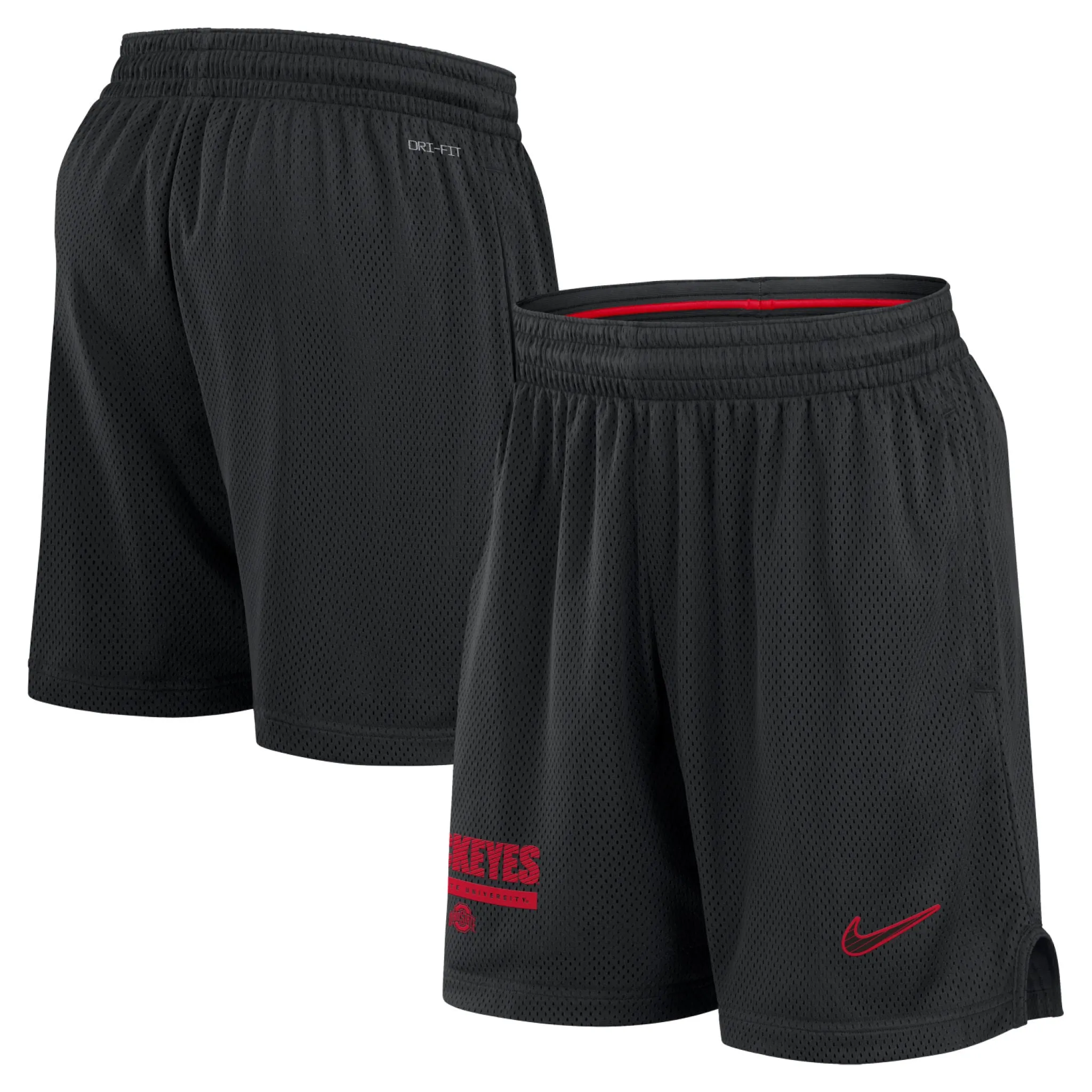 Men's Dri-Fit Mesh Shorts